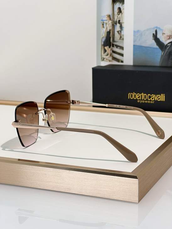 Picture of Roberto Cavalli Sunglasses _SKUfw79279454fw